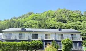 フレグランスりんどう 0101号-1