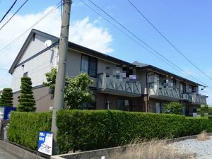 アムールサカエ