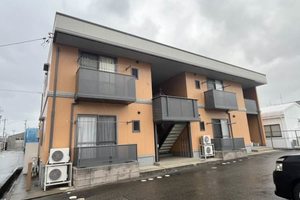 ディアスフラワ－ハウスⅡ 0101号-1