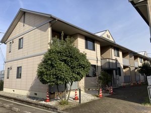 プラシィド　パレス