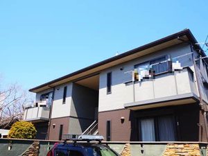 ピュアパルクシクーザ