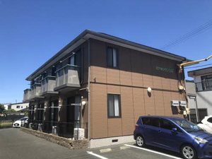 ミナミタウンスギ 0201号-1