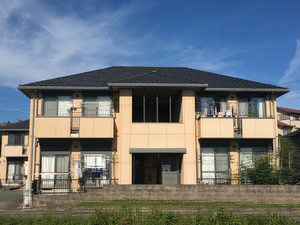 ノヴェル・フォー