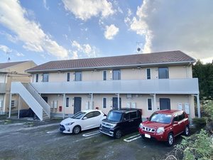 チェリーブラッサム