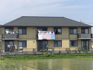 フォンターナ 0203号-1