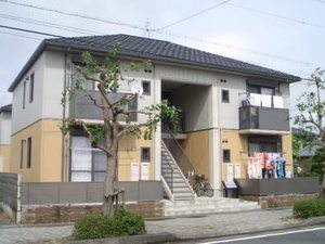ドリーム