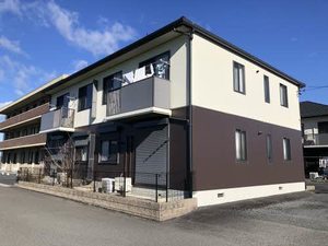 マーヤエクレール C102号-1