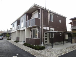 ＳＥＲＥＮＡ　ＭＡＲＥ