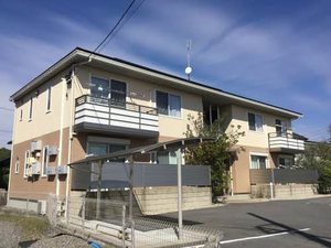 フローレス・カモミール