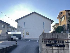 カプリレモン 0201号-1