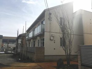 ＭａｓｔＴｏｗｎ今朝白 D101号-1