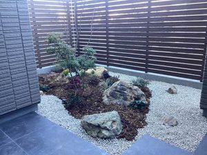 Ｓｈｉｎｙ 0102号-15