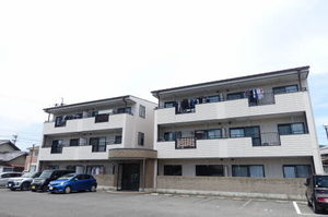 エトワール更紗 0205号-1