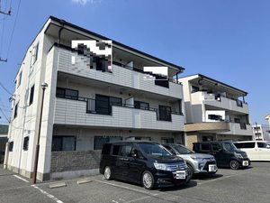 エトワール更紗 0205号-15
