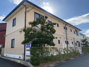 ディアス　ブルースカイ 0201号-15