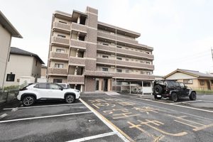 Ｂｏａ　Ｓｏｒｕｔｅ（ボアソルテ）