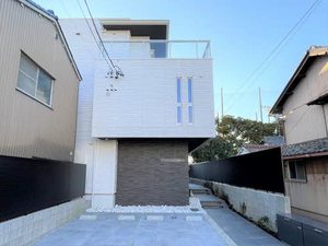 ＧＲＡＣＥ　ＣＡＭＥＬＬＩＡ（グレイス　カメリア）