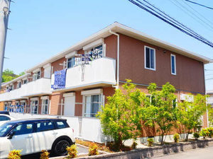 トルトゥーガ D101号-1