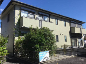 フォレストカーサ