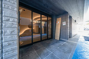 プルメリア 0201号-11