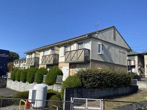 ワイハイツ　Ｄ 0201号-1