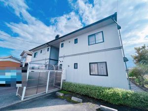 エバーグリーン