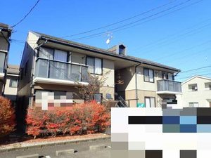 ぴゅあ　ぐり－んべーる C201号-1