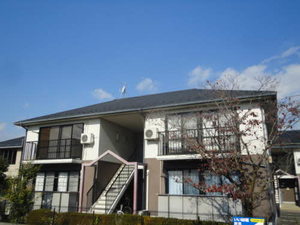 ラビアンローゼＴＲＳ B201号-1