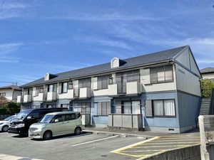 フレグランス　サンライズ 0203号-1