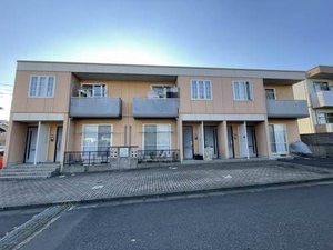 マメゾン　サクラ