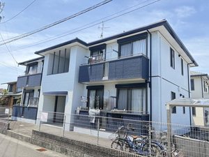 ボナール 0201号-1
