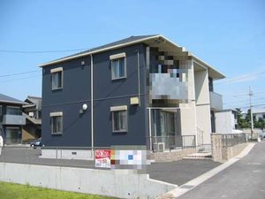 セネシオ A102号-1