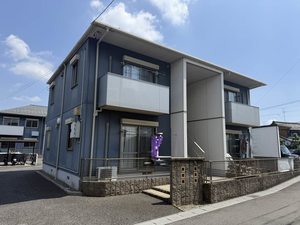 セネシオ B102号-1
