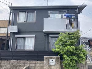 マルベリー A101号-1