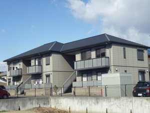 たちばなファミリー１２