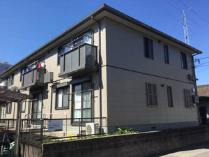 マルベリーコート 0203号-1