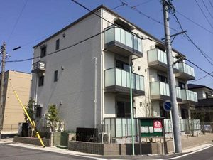 シャルマン市場木