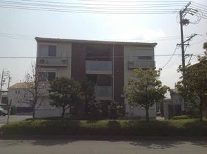 ドラゴ 0301号-1