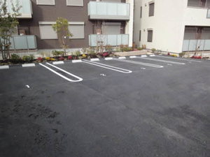 カサベルテ密柑山 W102号-2