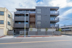 ネクスジェン　マサ