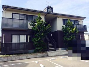 ニューグラッド．マイ