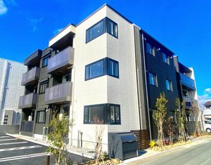 ＧＲＡＮＦＩＯＲＥ　ＭＯＬＬＩＳ