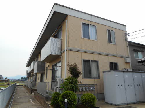 ｃａｓａ　ひまわり0101-1