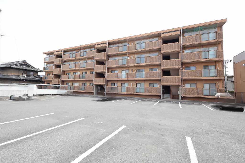 ＴＨＥ　ＲＯＯＴＳ