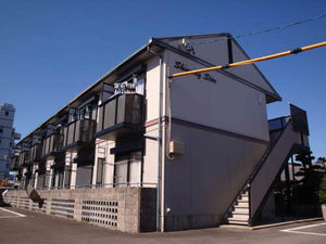 ＳｈｉｎｉｎｇＳｔａｒ 0203号-1