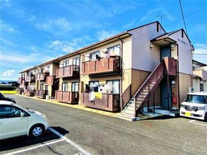 ドミーミヤモト