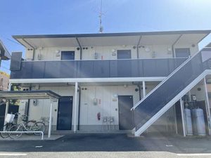 ネイティヴサン 0103号-1