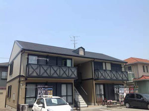 クレアトール菊水 B202号-1