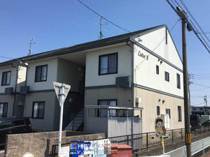 Ｃａｓｔｏｒ B201号-1