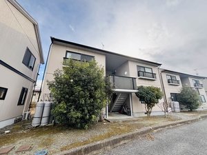 ディアス　ニート